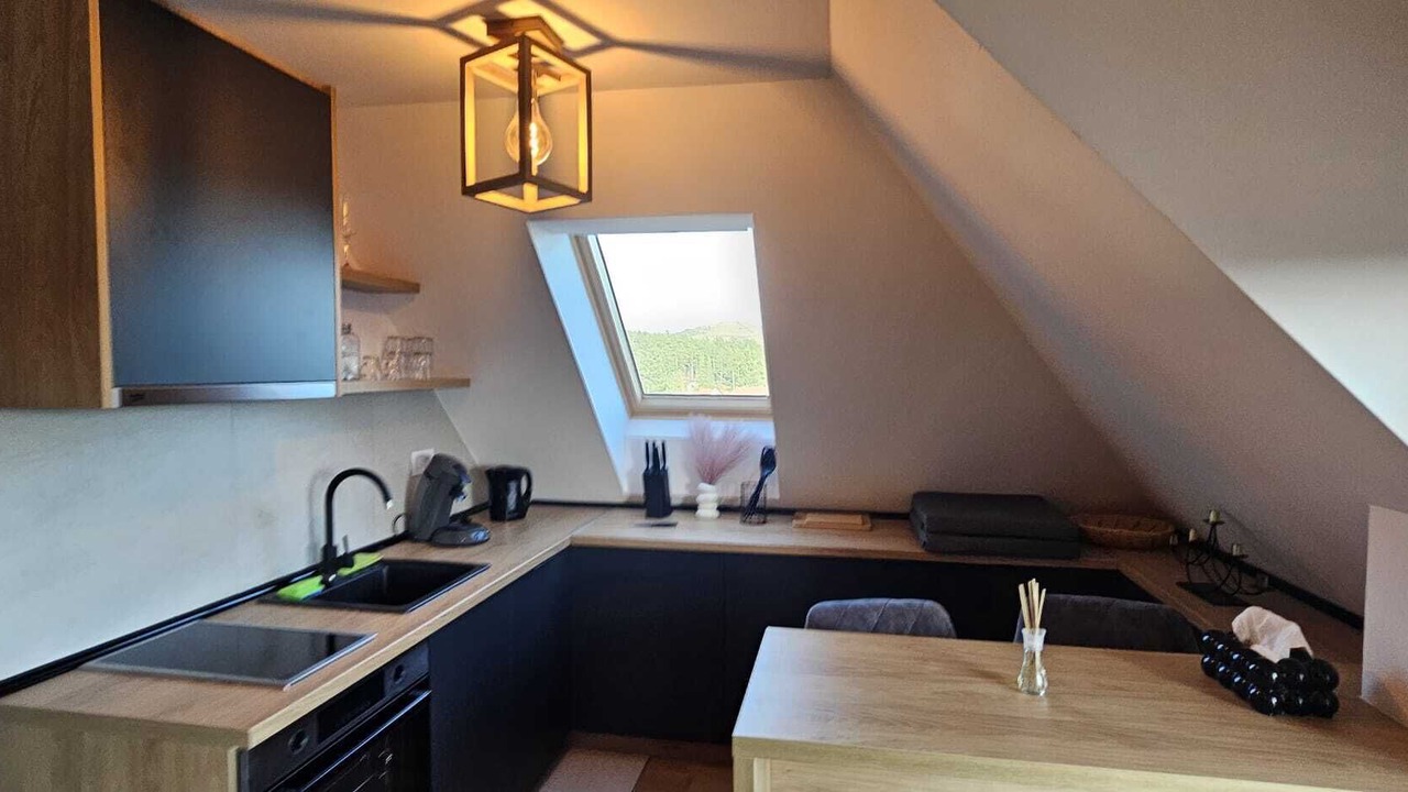Photo of Kitchen in Zlatibor