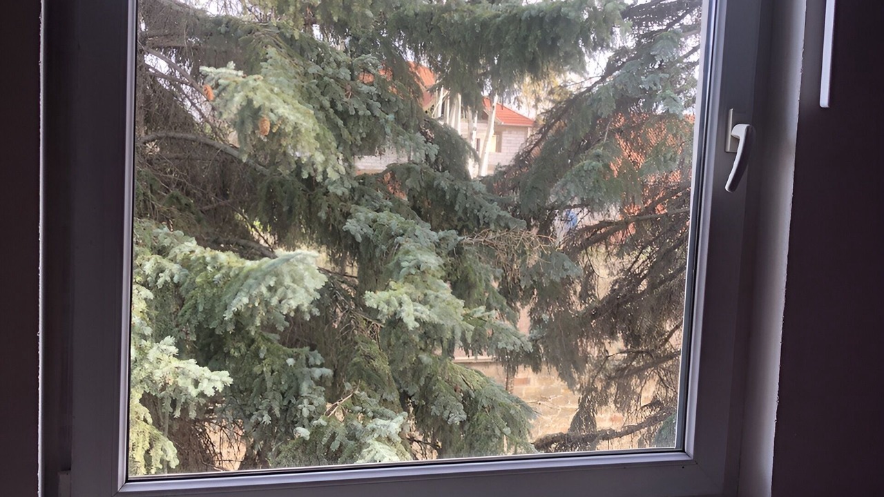 Photo of Others in Vojvodina