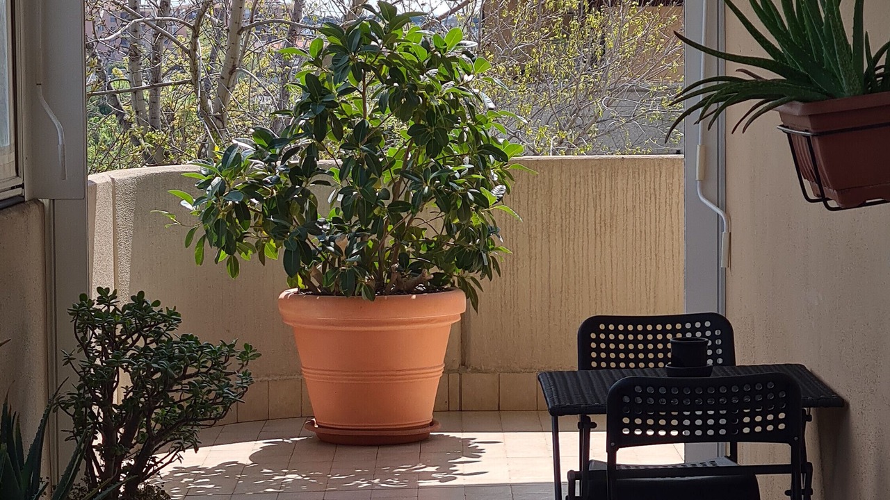 Photo of Outdoor in Rome Province