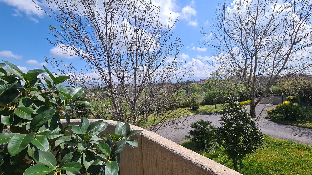 Photo of Outdoor in Rome Province