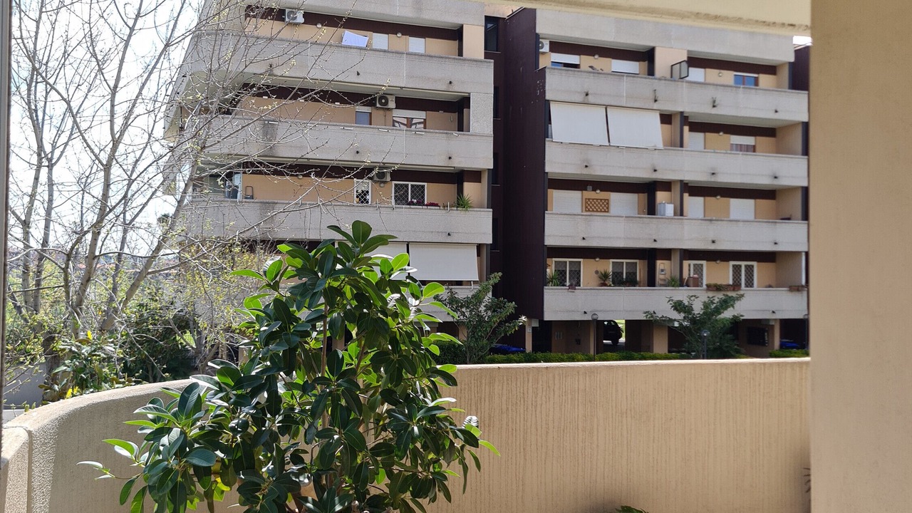Photo of Outdoor in Rome Province