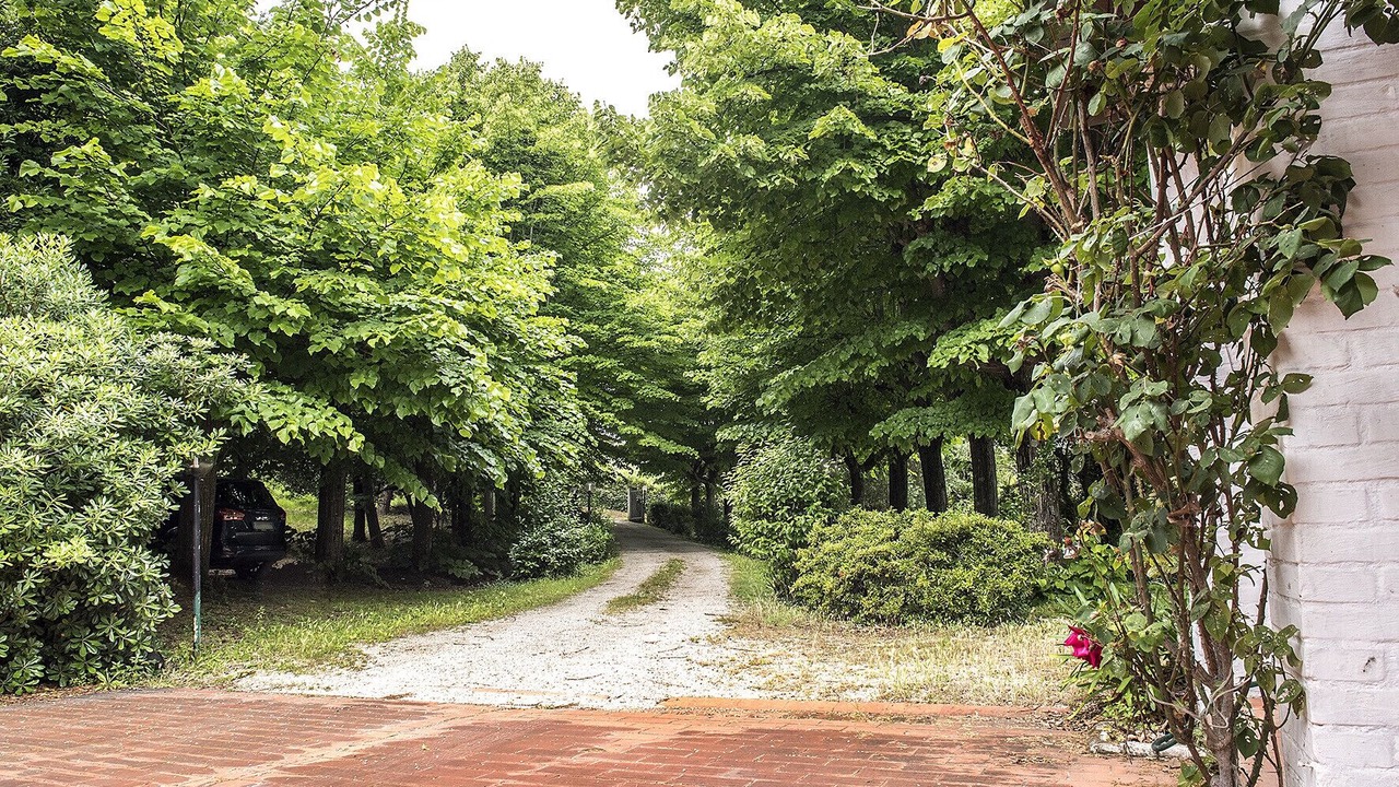 Photo of Outdoor in Offagna