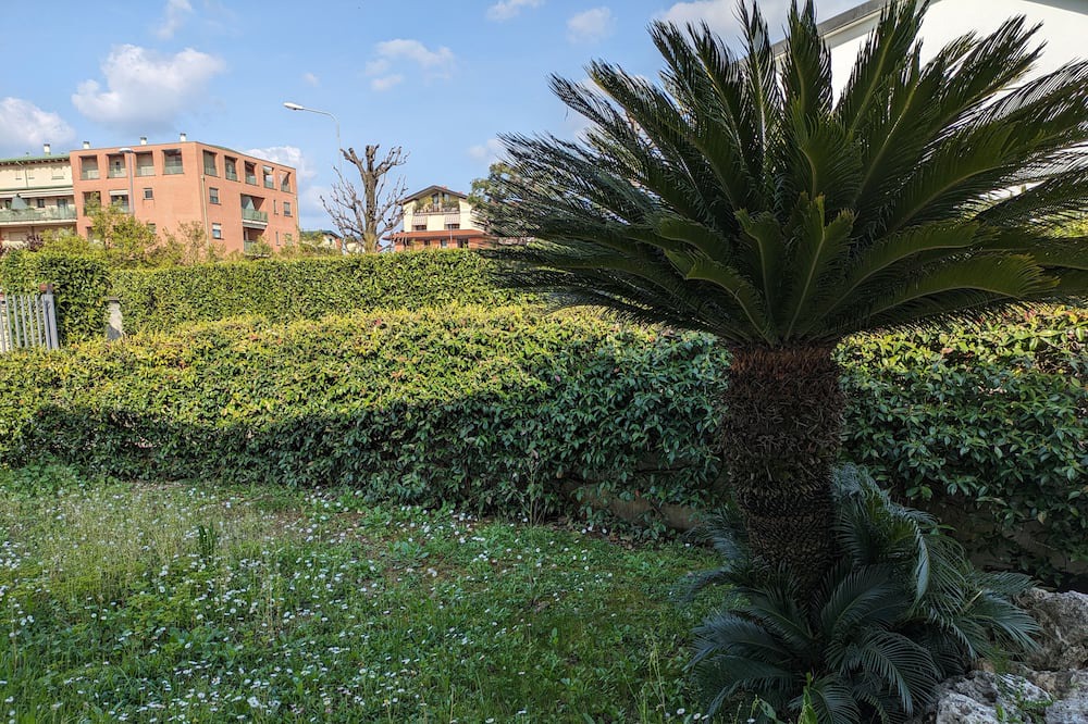 Photo of Outdoor in Dalmine