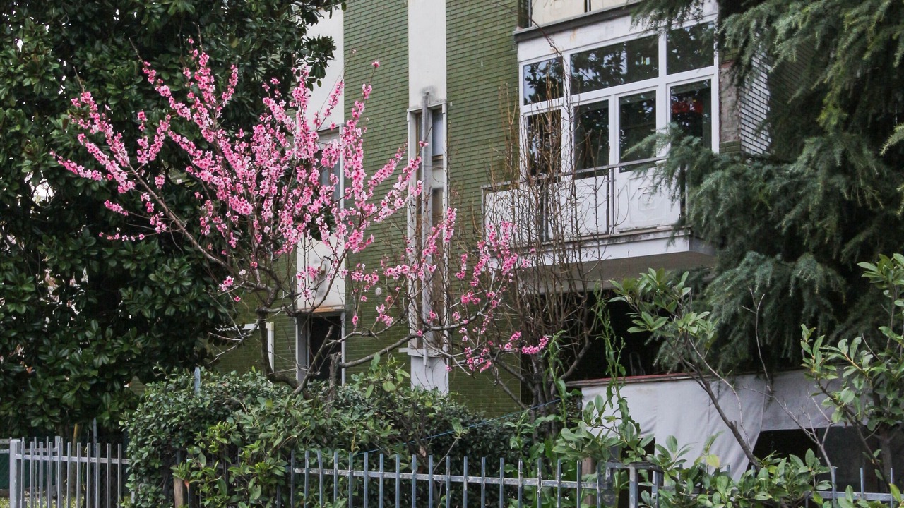 Photo of Outdoor in Calderara di Reno