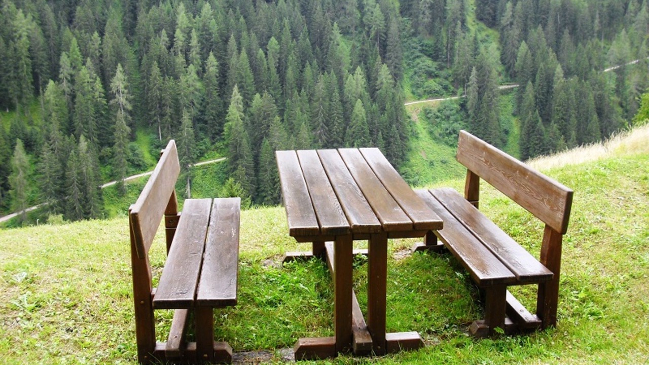 Photo of Outdoor in Rabbi