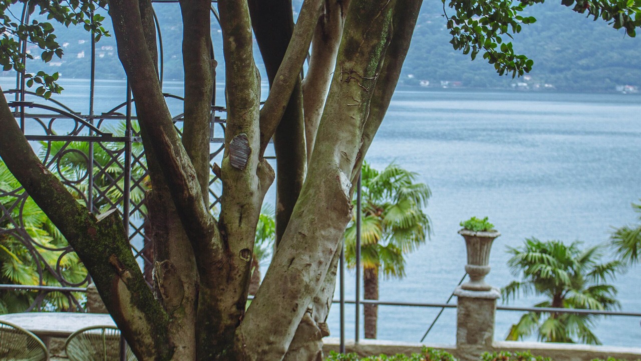 Photo of Outdoor in Nizzolino