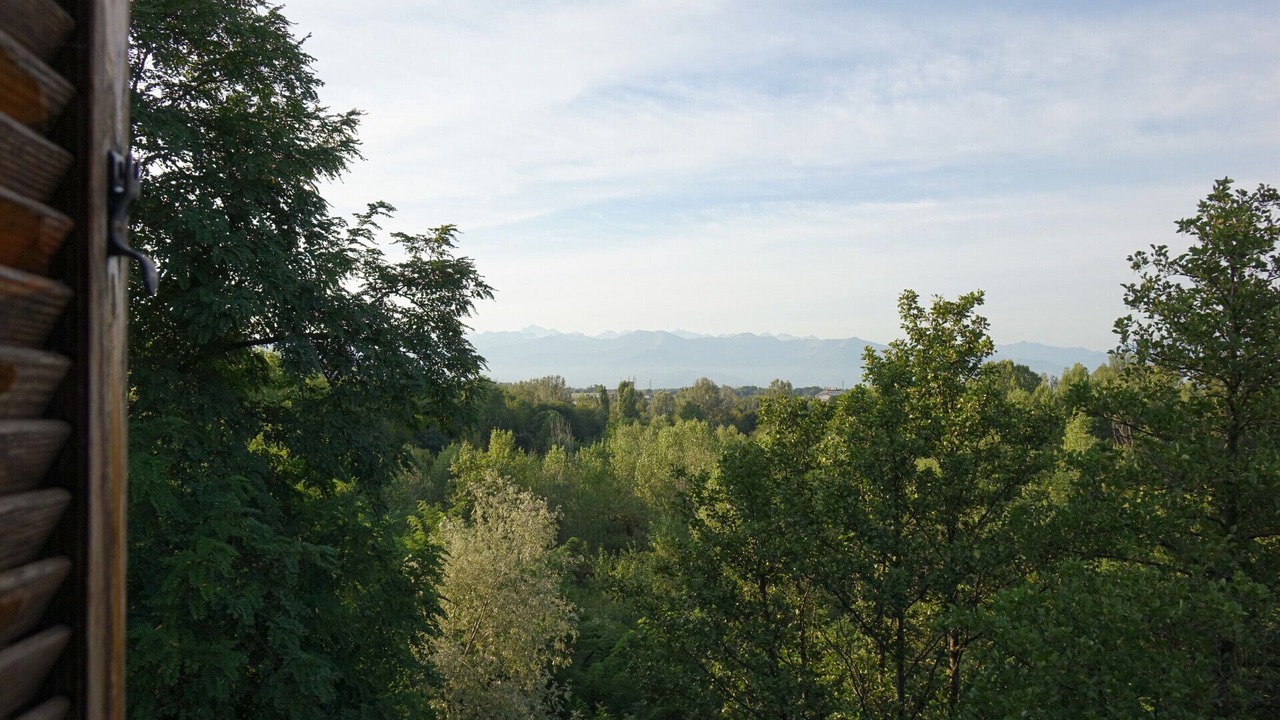 Photo of Others in Venaria Reale