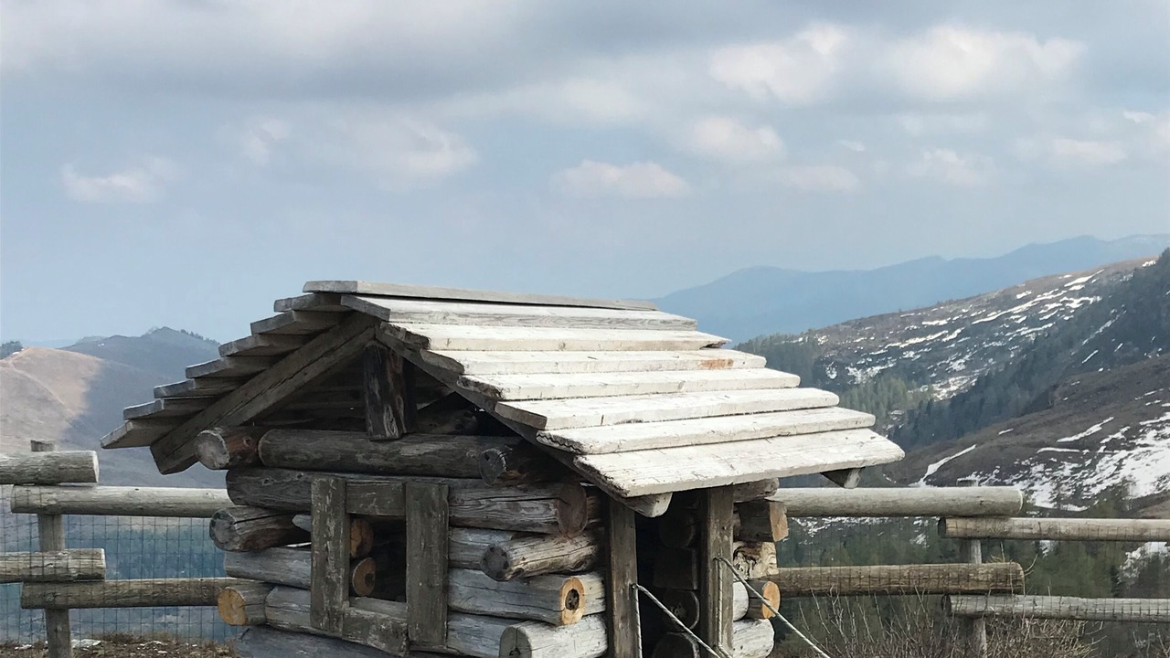 Photo of Outdoor in Paesana