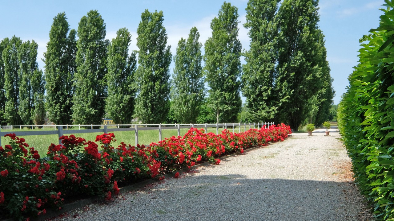 Photo of Outdoor in Concamarise