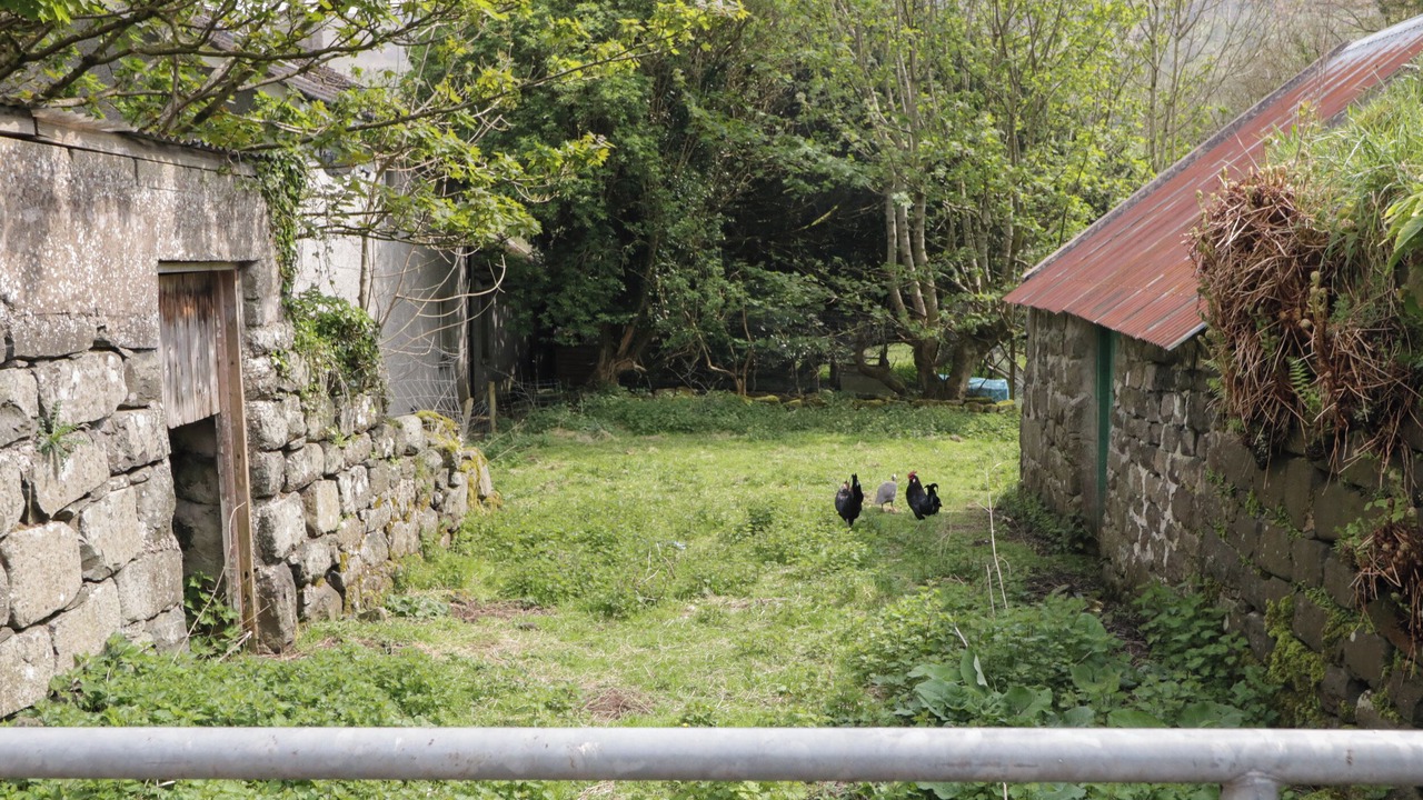 Photo of Others in Glenariff