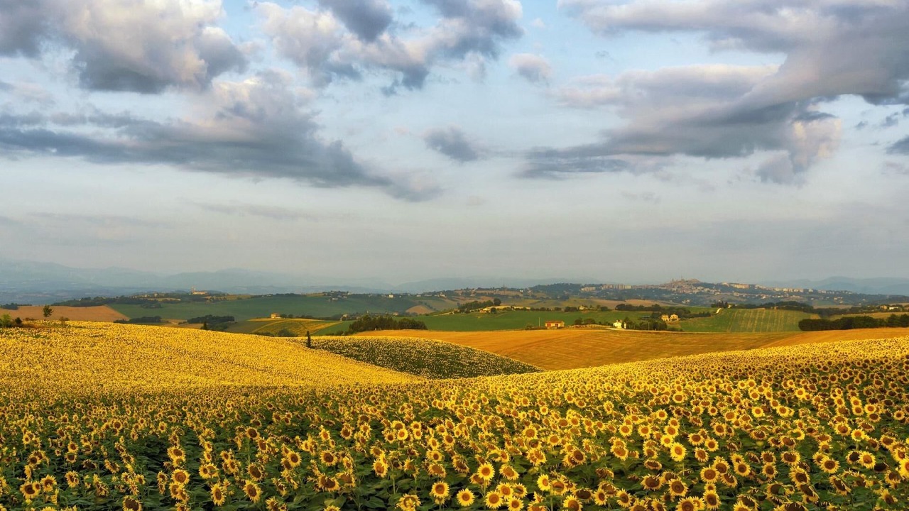 Photo of Others in Macerata