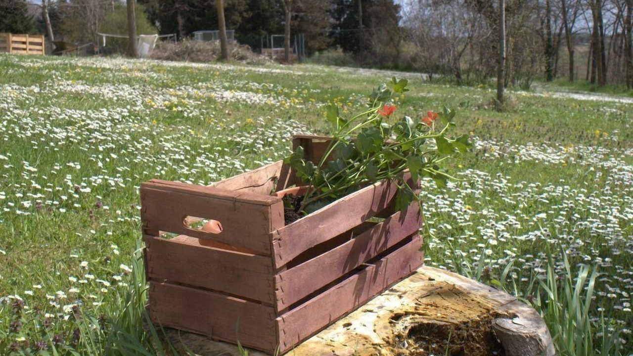 Photo of Outdoor in Macerata