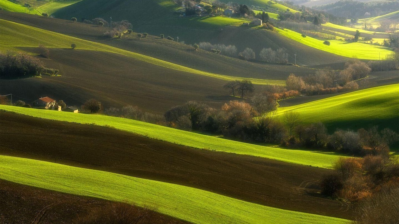 Photo of Others in Macerata