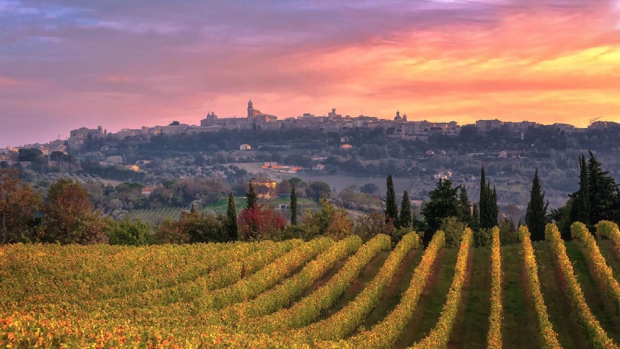Photo of Others in Macerata