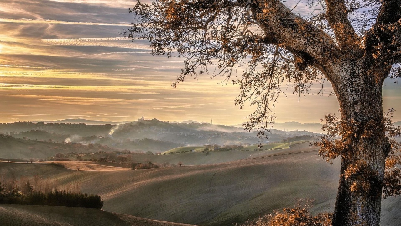 Photo of Others in Macerata