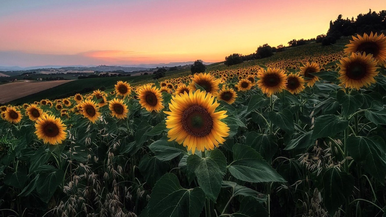 Photo of Outdoor in Macerata