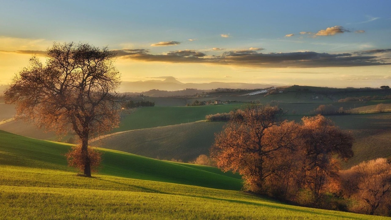 Photo of Others in Macerata