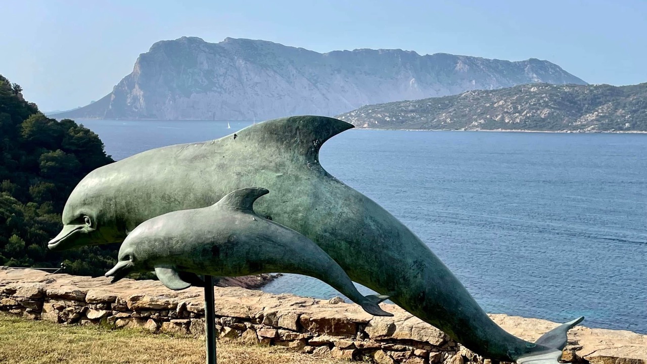 Photo of Others in Capo Coda Cavallo