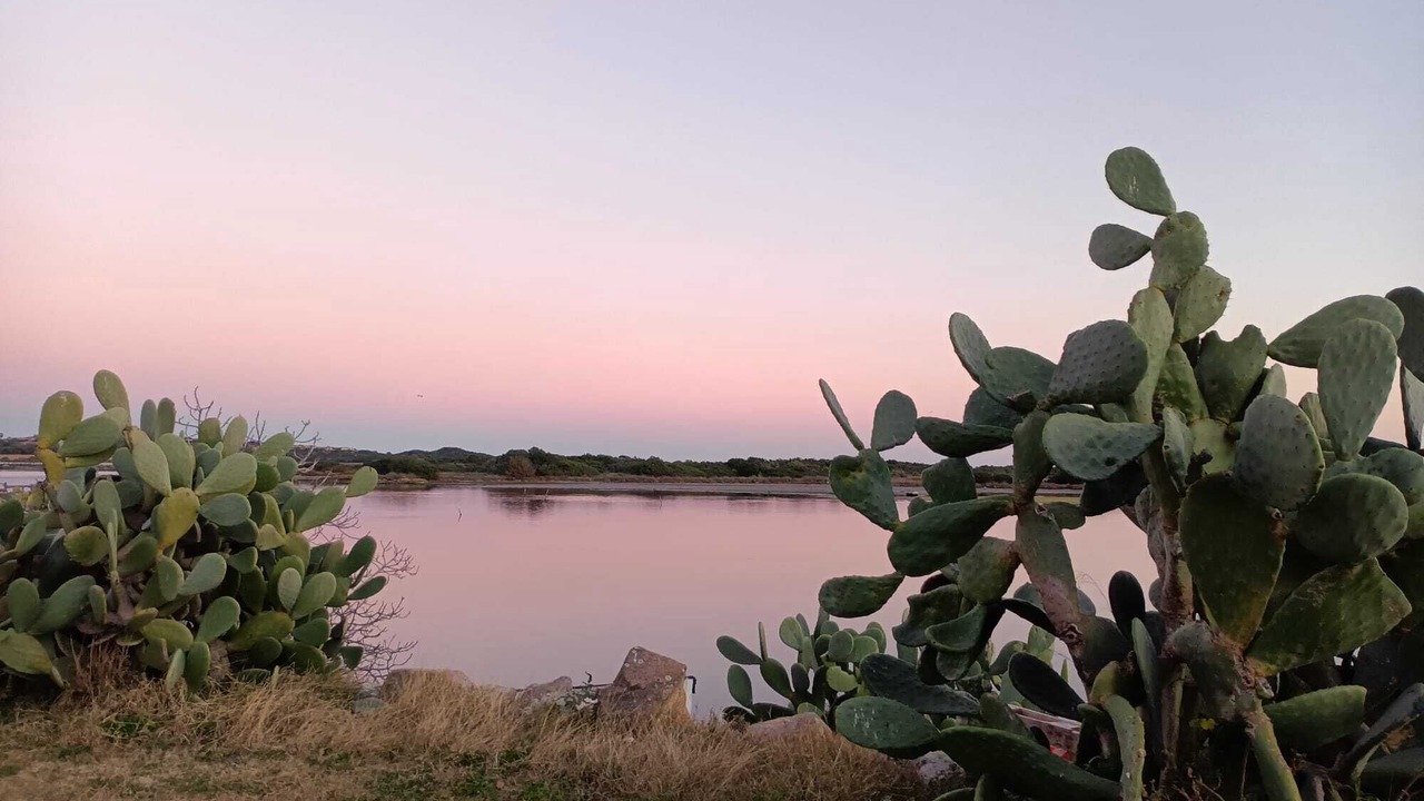 Photo of Outdoor in Capo Coda Cavallo