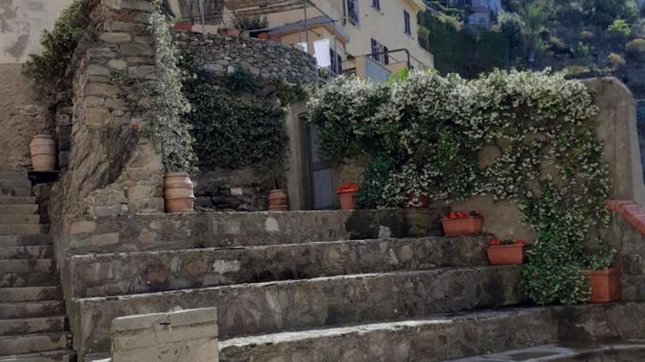 Photo of Others in Manarola