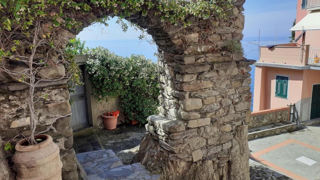 Photo of Others in Manarola
