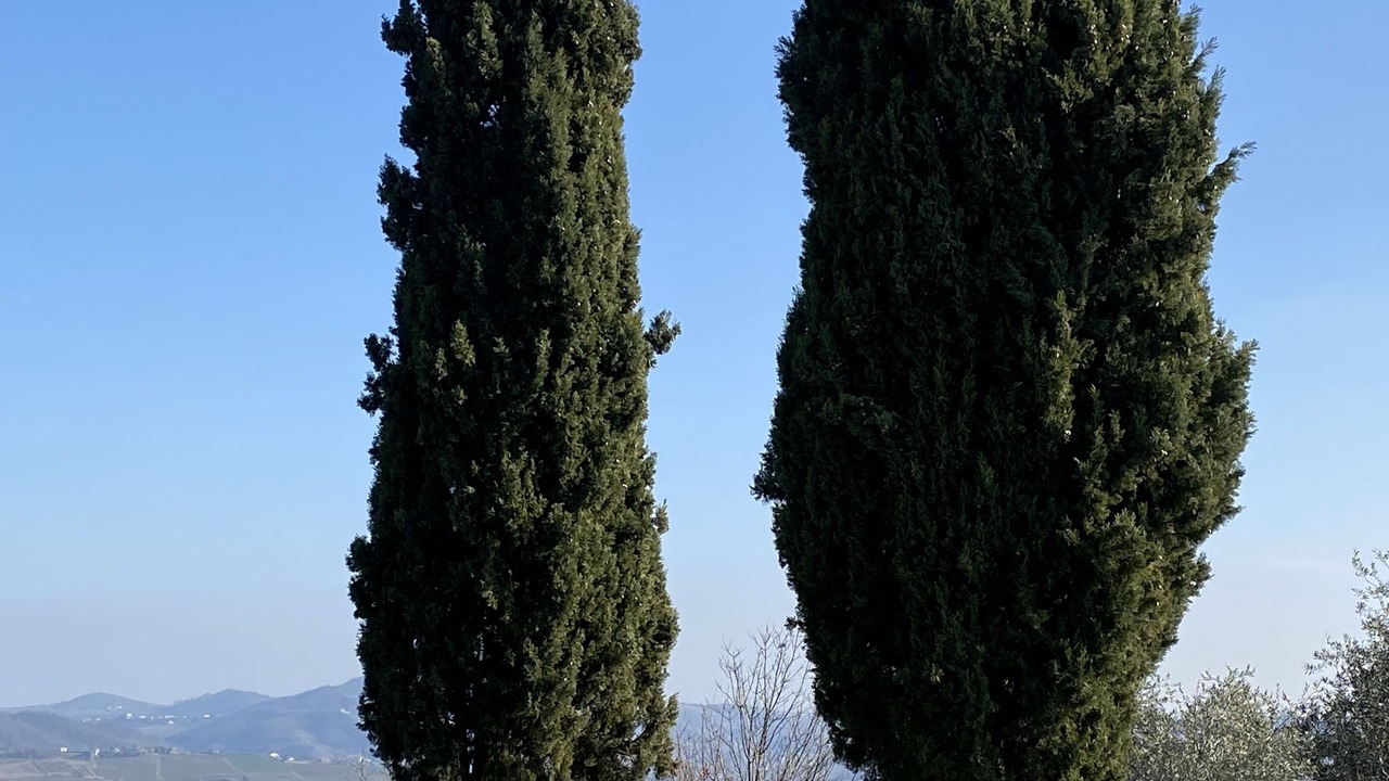 Photo of Outdoor in Odalengo Piccolo