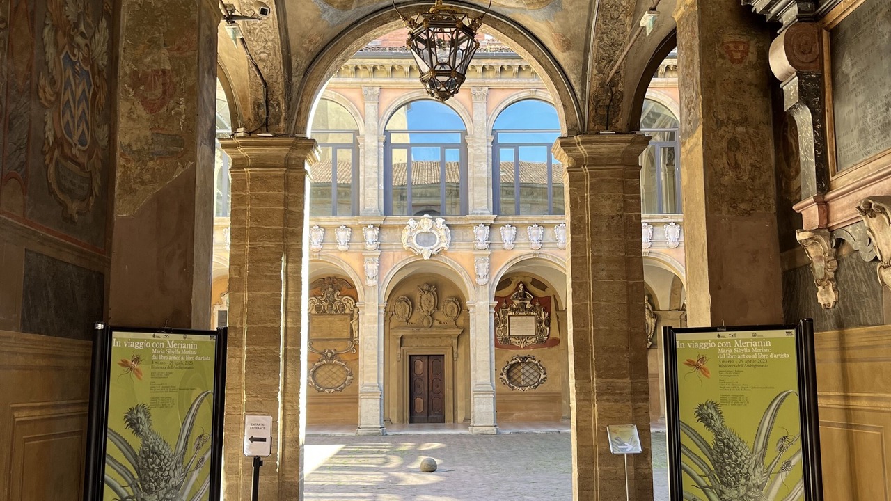 Photo of Others in Historic Center