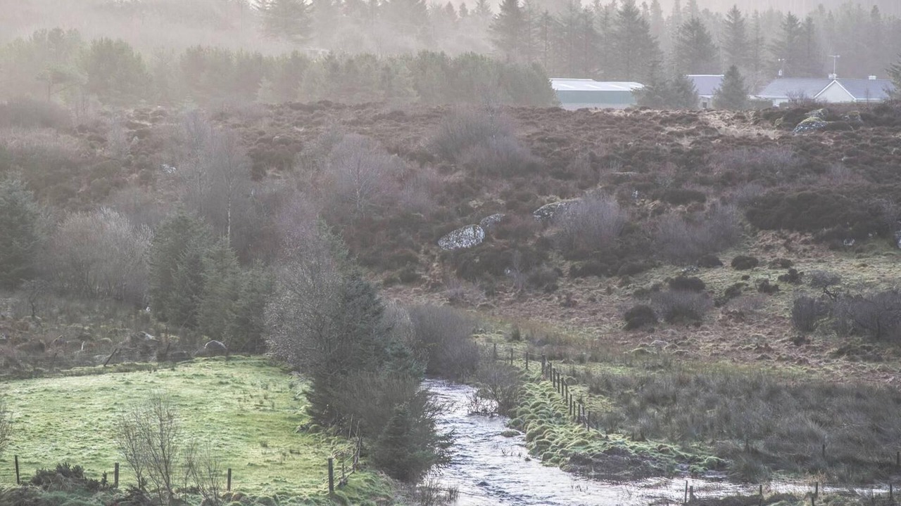 Photo of Others in Greencastle
