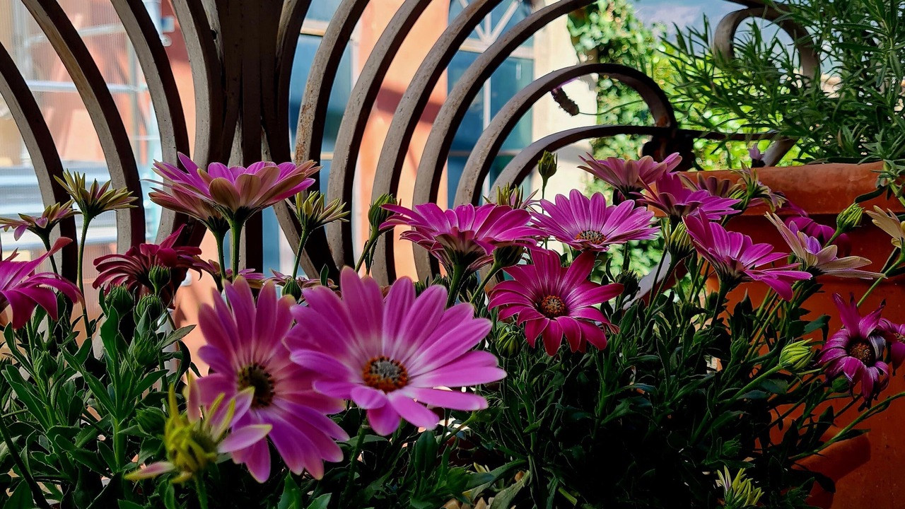Photo of Outdoor in Pratola Peligna