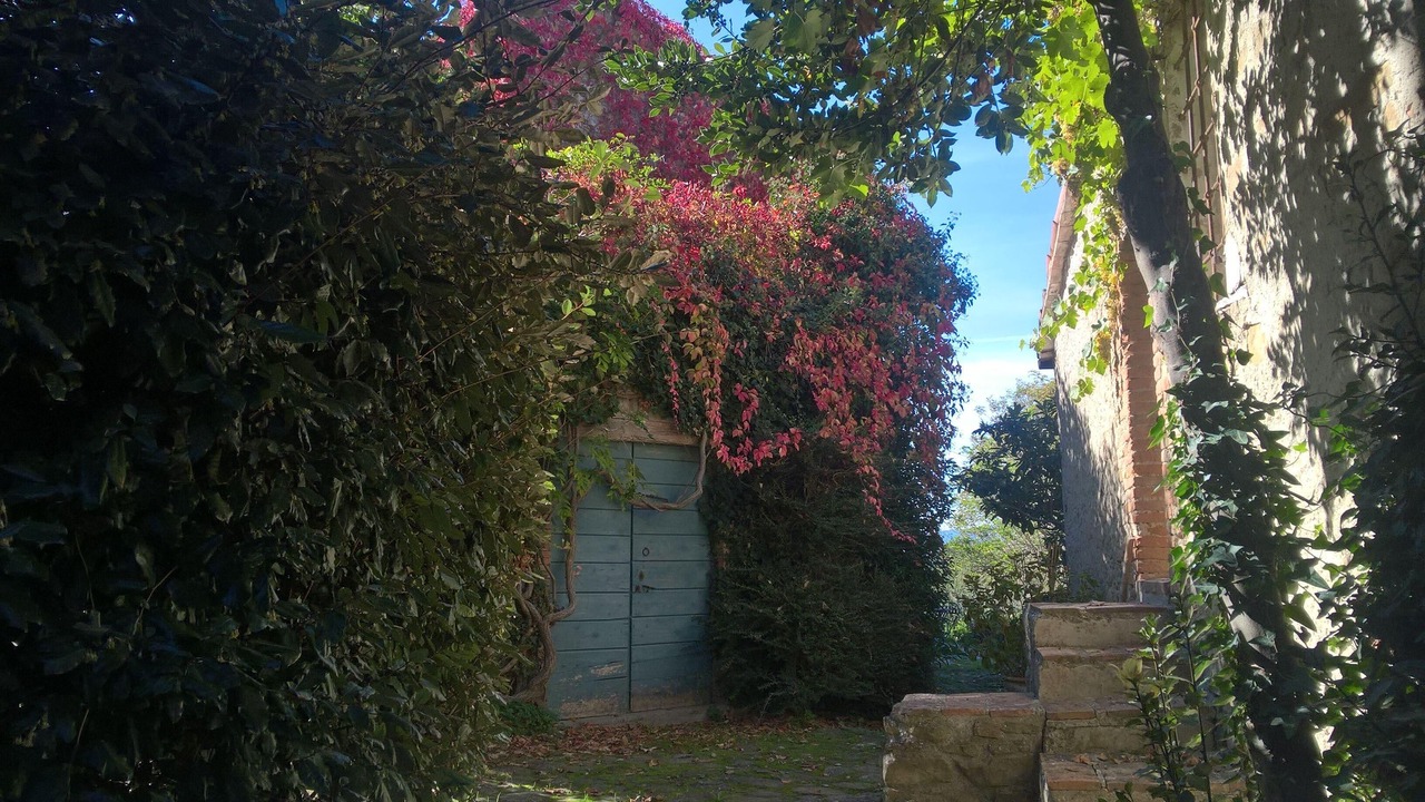 Photo of Outdoor in Piandimeleto