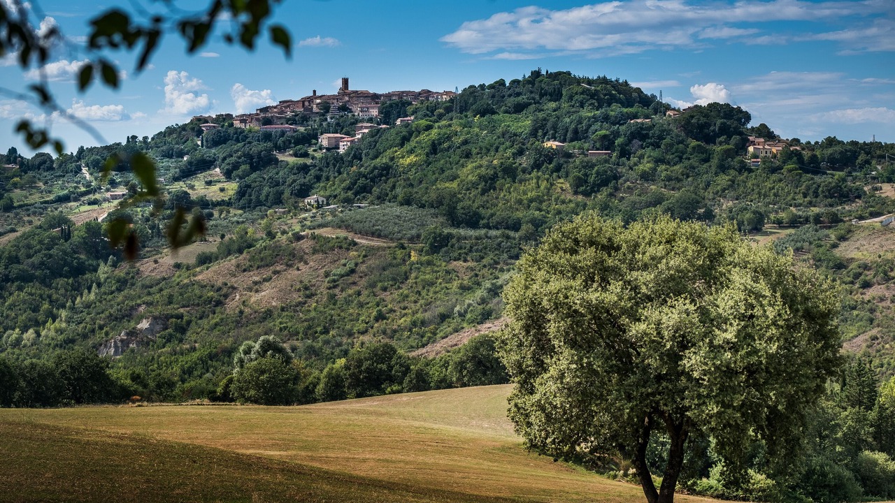 Photo of Others in Radicondoli