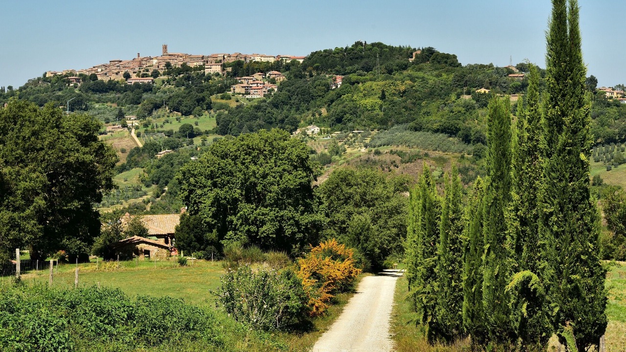 Photo of Others in Radicondoli