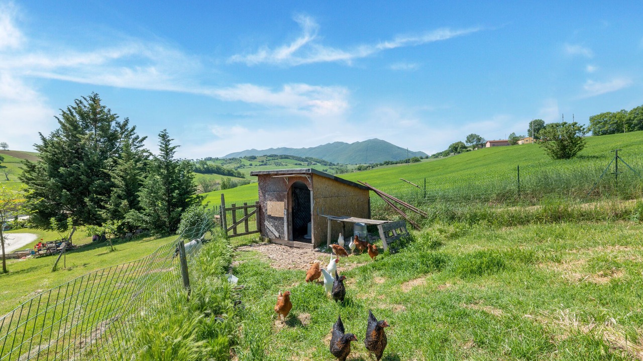 Photo of Outdoor in Matelica