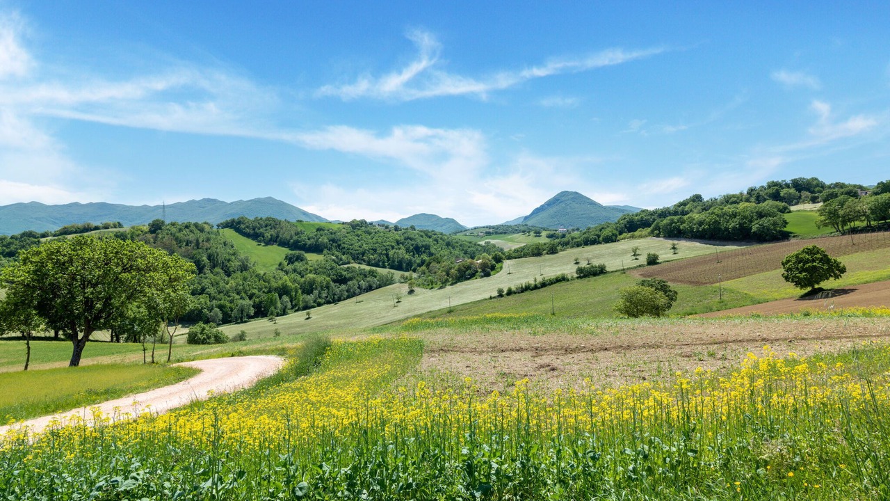 Photo of Others in Matelica