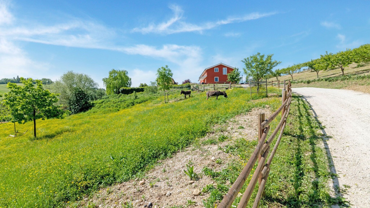Photo of Outdoor in Matelica