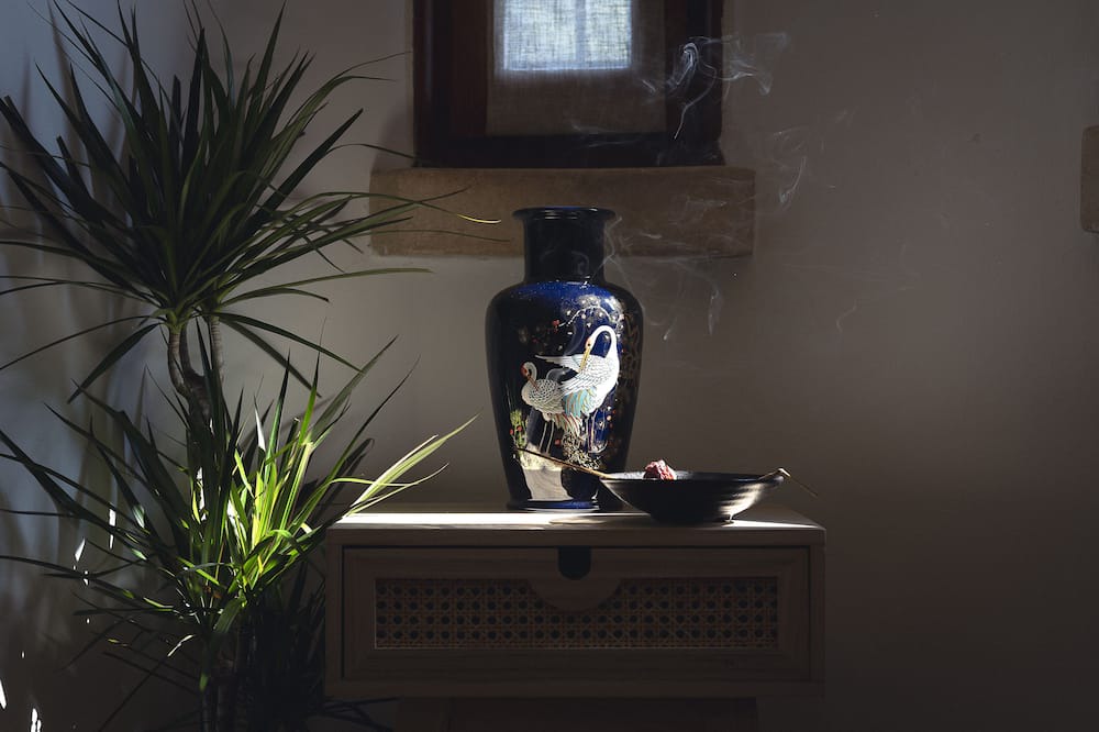 Photo of Others in Monteviale