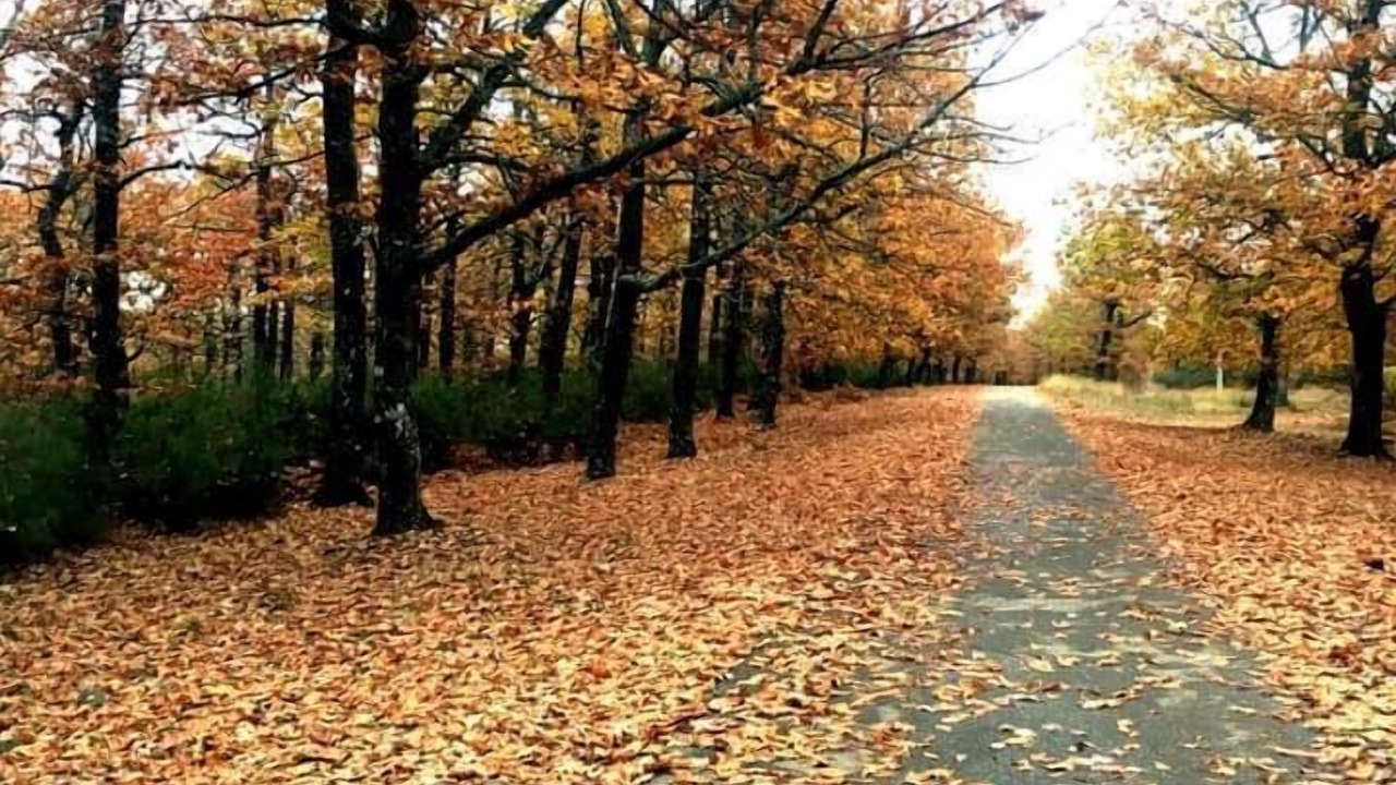 Photo of Outdoor in Noepoli