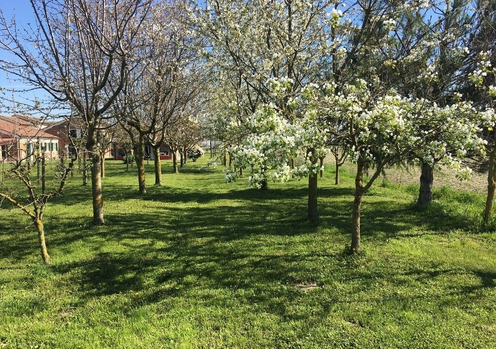 Photo of Outdoor in Melara