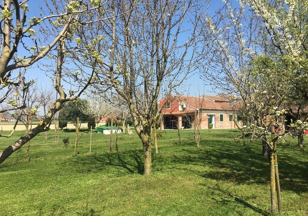 Photo of Outdoor in Melara