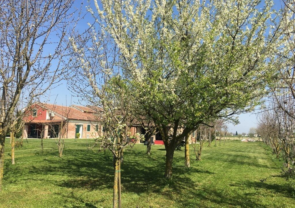 Photo of Outdoor in Melara