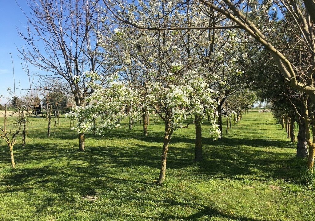 Photo of Outdoor in Melara