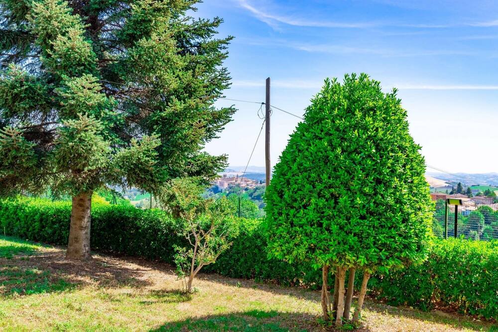 Photo of Outdoor in Urbisaglia