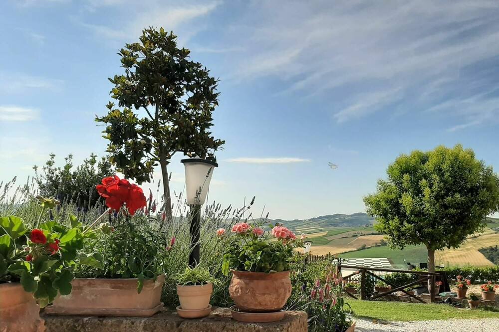 Photo of Outdoor in Carassai