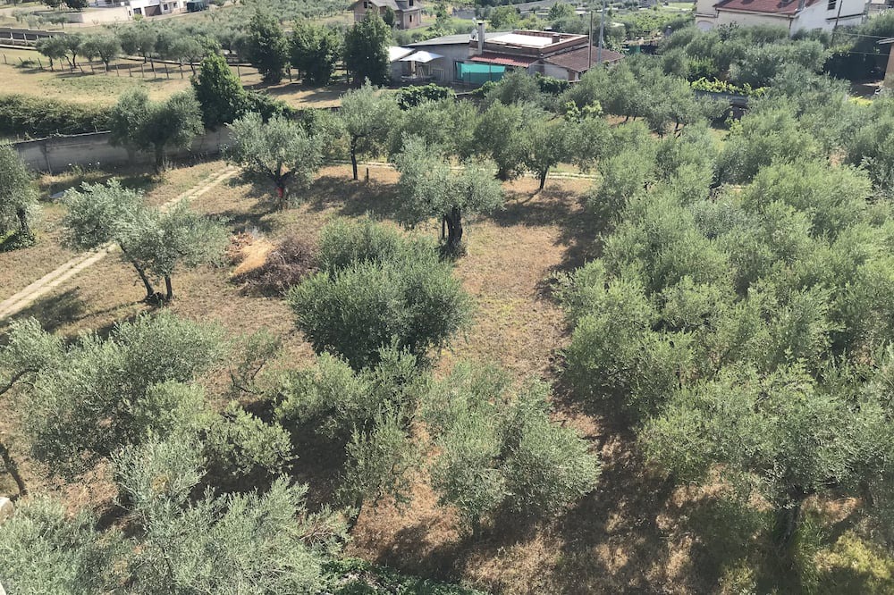 Photo of Outdoor in Sant'Angelo Romano