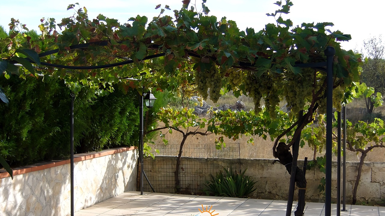 Photo of Others in Crispiano