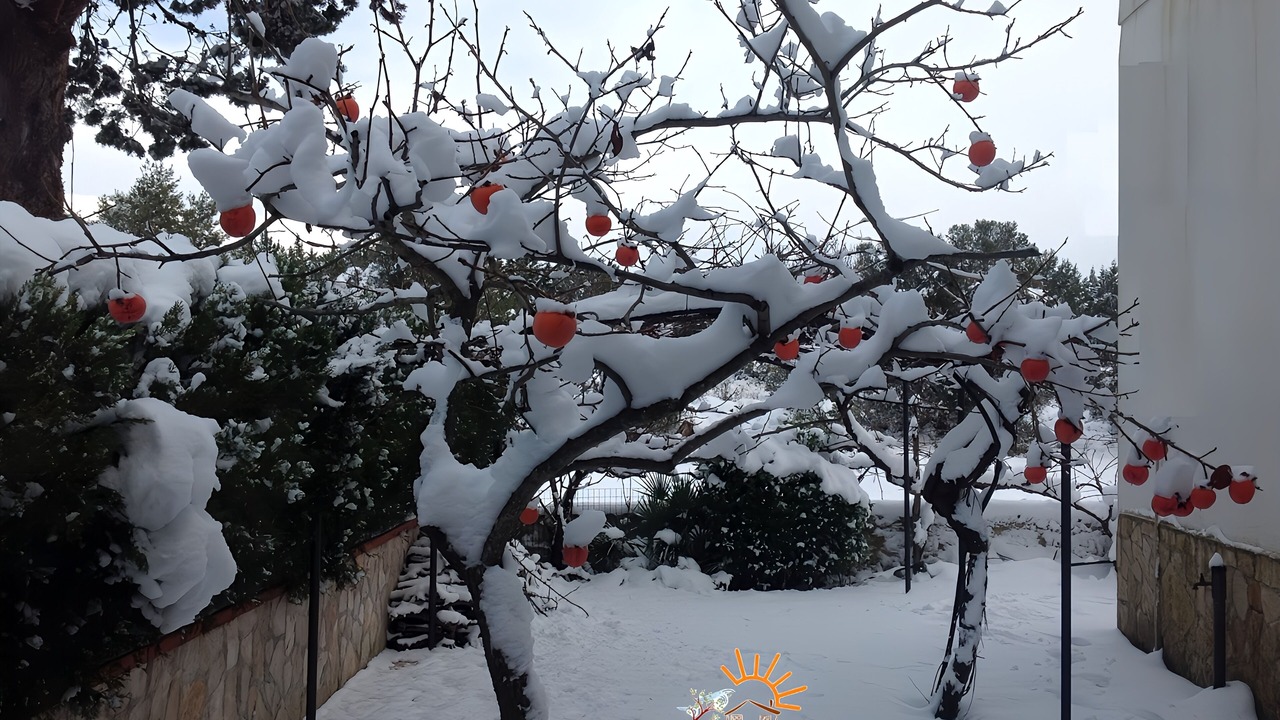 Photo of Outdoor in Crispiano