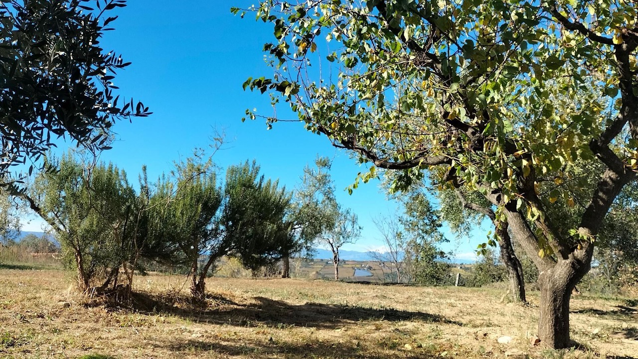 Photo of Outdoor in Lanciano