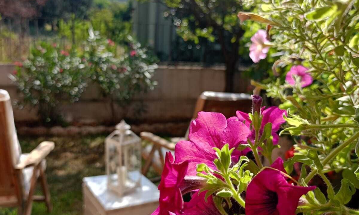 Photo of Outdoor in Nave