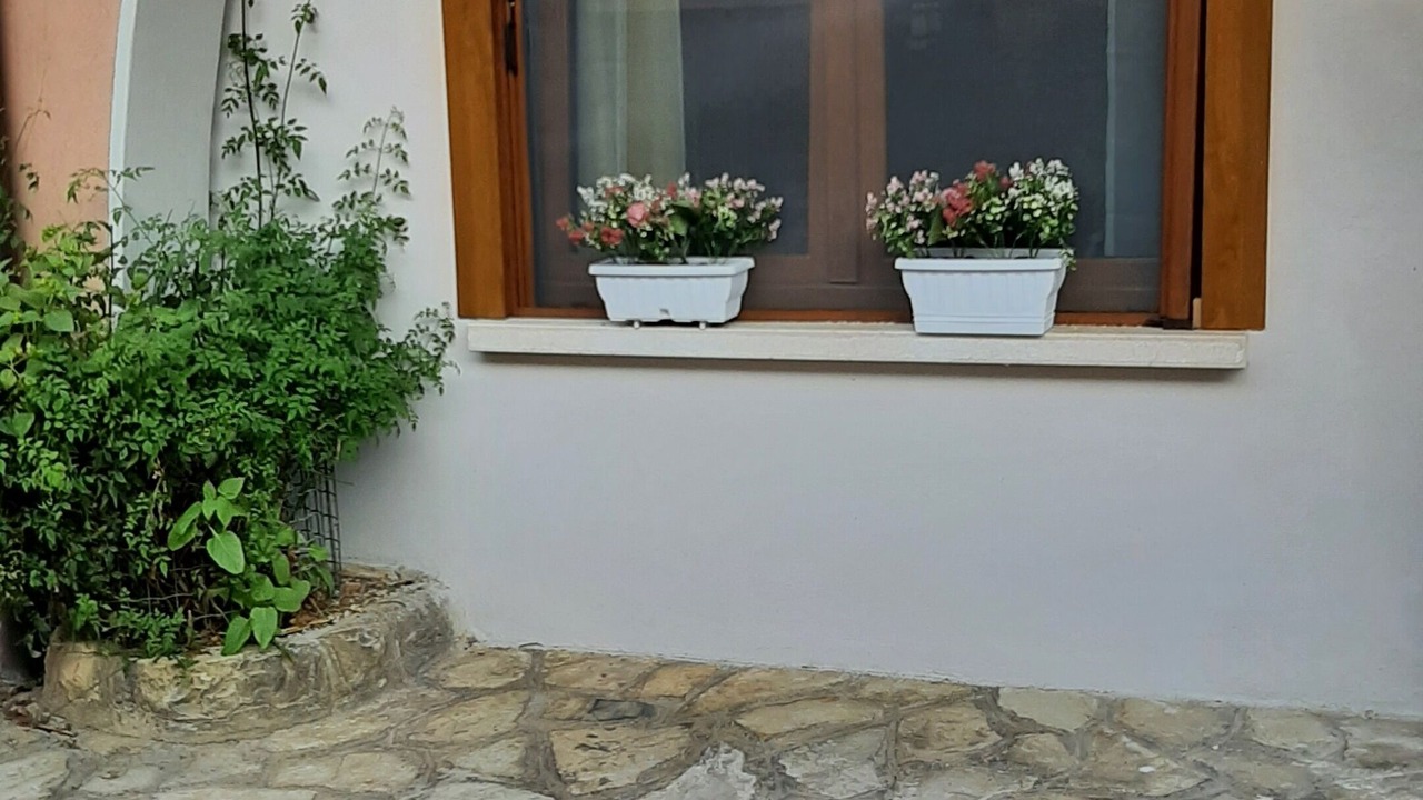 Photo of Outdoor in Nave