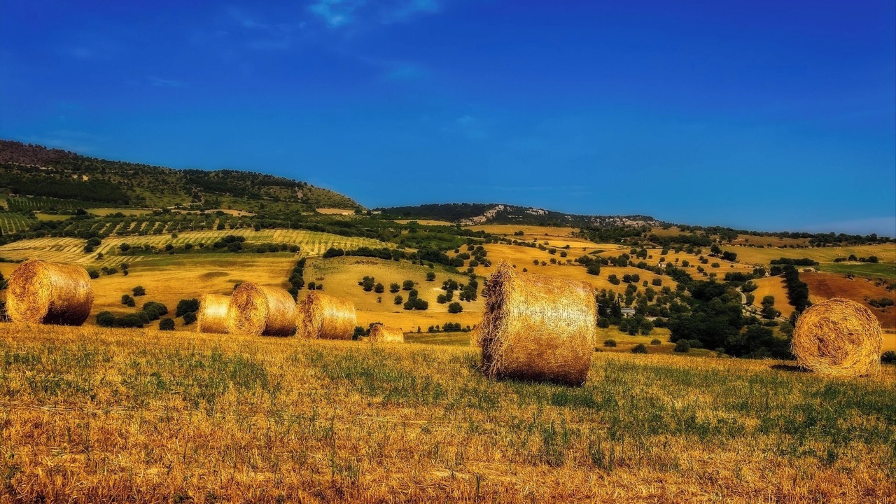 Photo of Others in Mondavio
